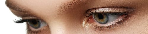 Debbie's Vision Links