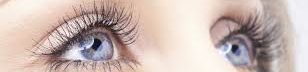 Debbie's Vision Links