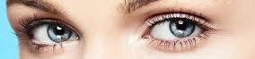 Debbie's Vision Links