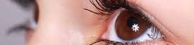 Debbie's Vision Links